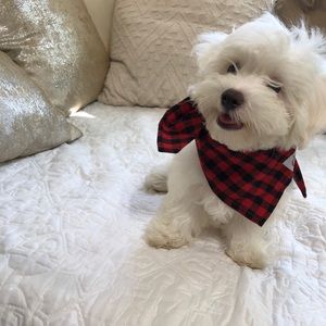 Meet your Posher, Ana